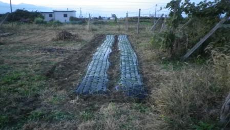 家庭農場 (1)