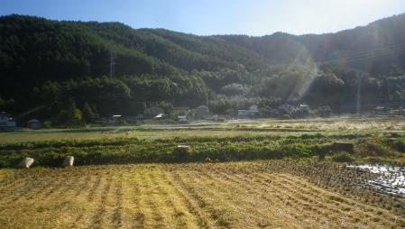 田んぼ (4)