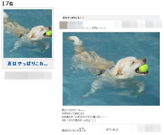 コンテスト