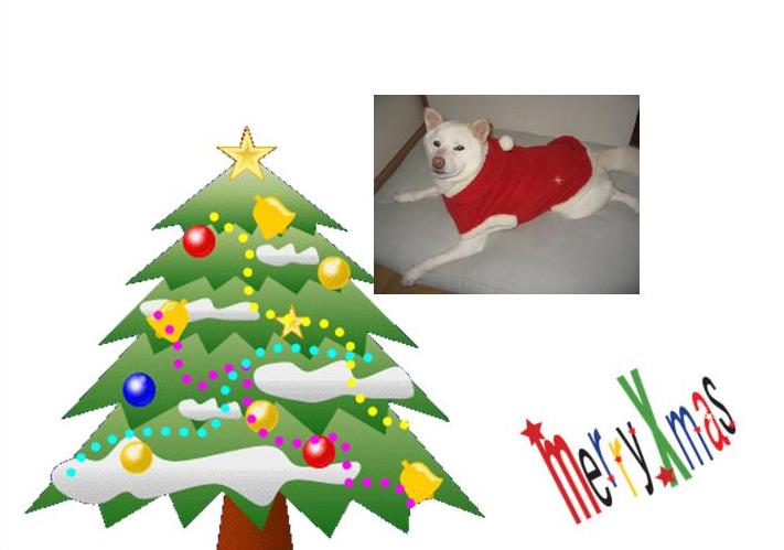 クリスマスカード♪