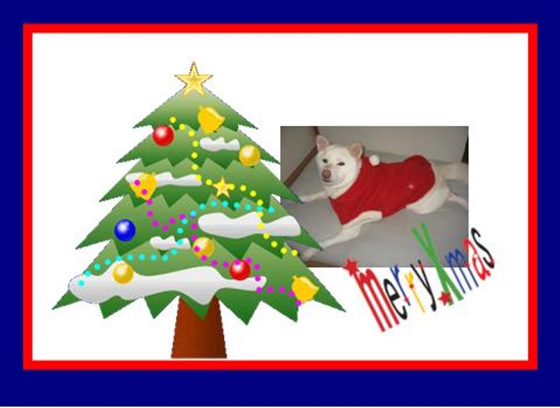 クリスマスカード♪