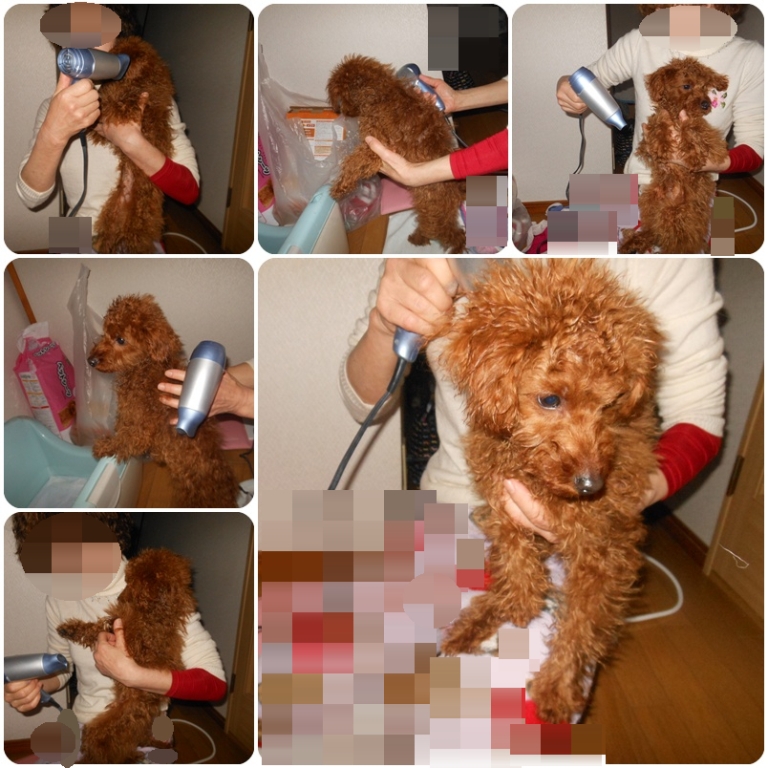 ドライヤー