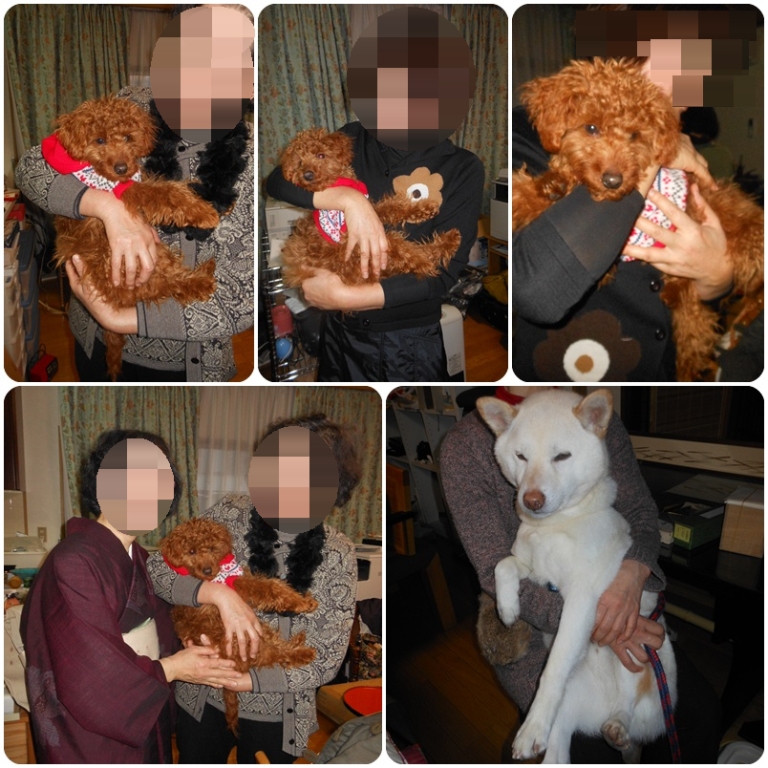 お弟子さんに抱いてもらう桃太郎
