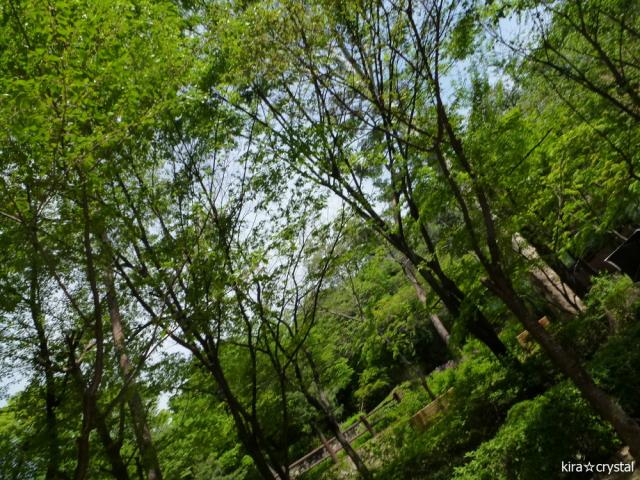 050313