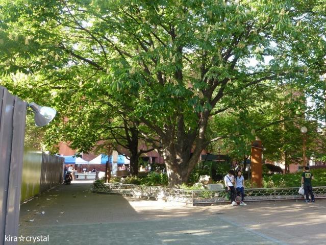 050504a