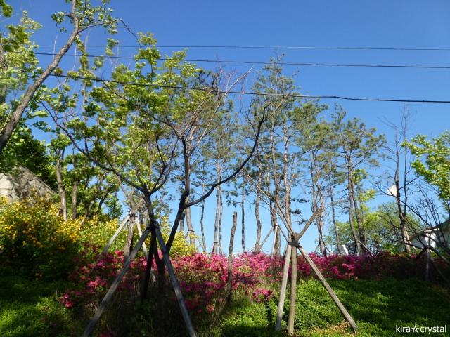 050513