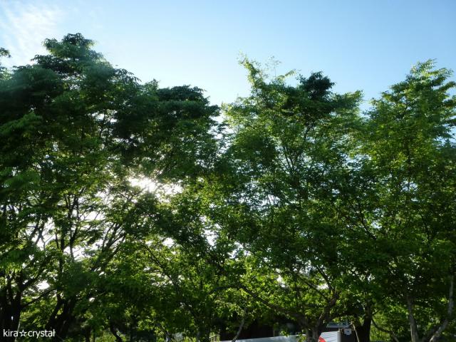 050519
