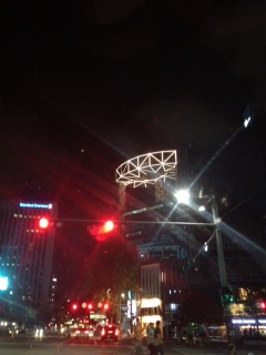 写真 (9)