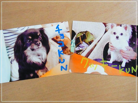 RIMG0061・2