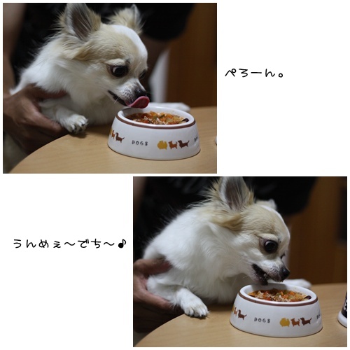 8月11日②