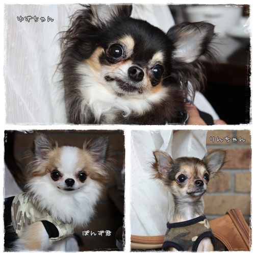 8月14日③
