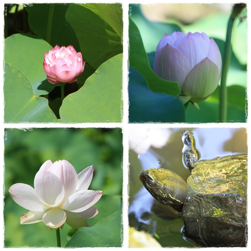 8月19日