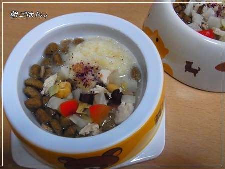 RIMG0003・2