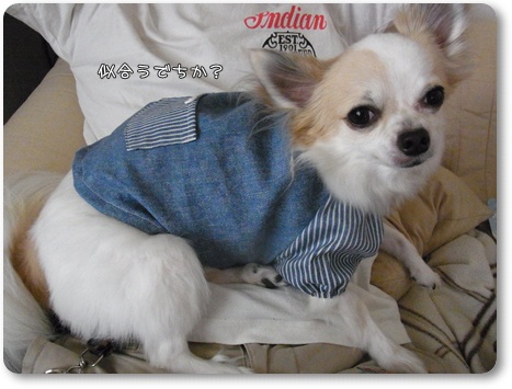 RIMG0011・2