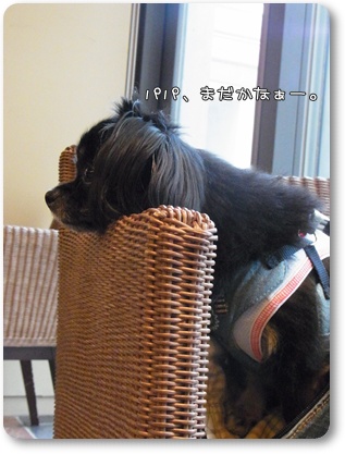 RIMG0037・2