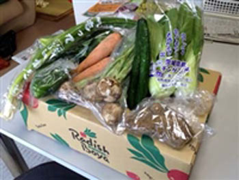 らでぃっしゅぼーやの有機野菜