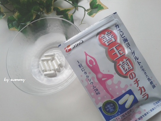 善玉菌のチカラ2