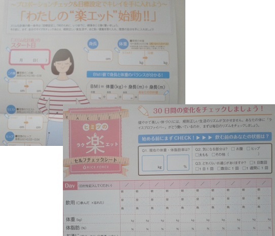 ライスプロファイバー セルフチェックシート3