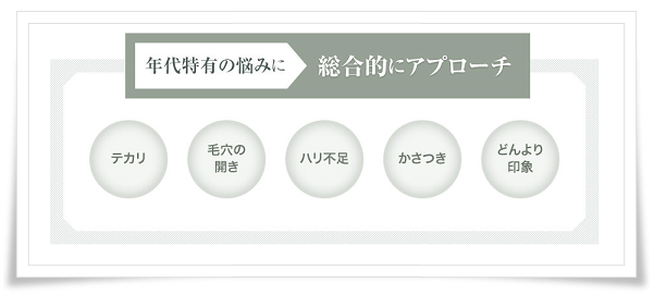 アルケミー こんな肌の方へ