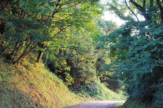 散策道の