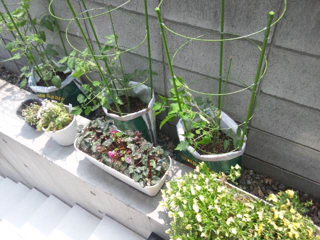 画像 714