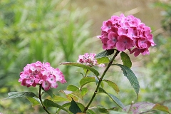 Img_064064.jpg