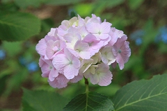 Img_064158.jpg
