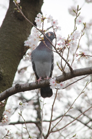 Img_9555.jpg