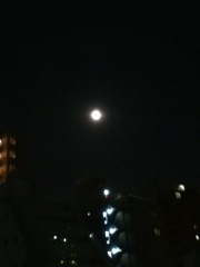 大きな月