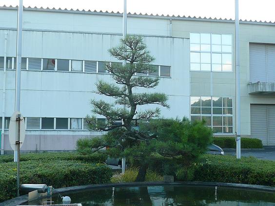P1070072.jpg