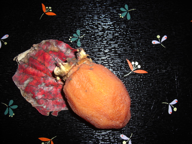 CIMG7850.jpg