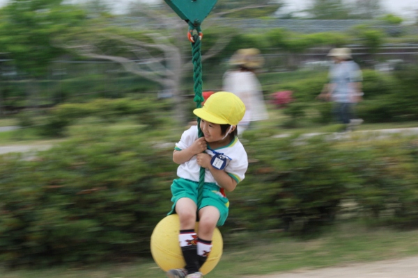 IMG_9055 (600x400)