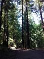 120731hiking
