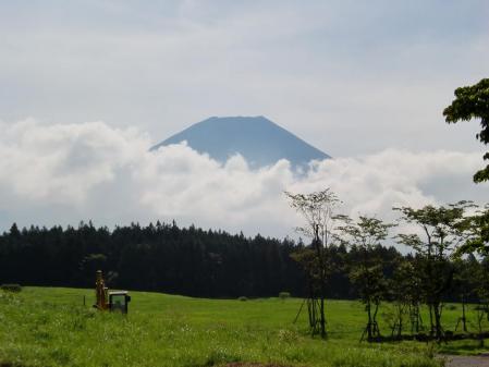 fuji3.jpg