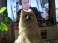 はい、私もそう思います!