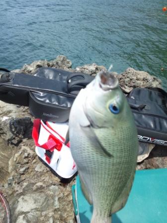 2012.07.21 古城 ショウジグレ
