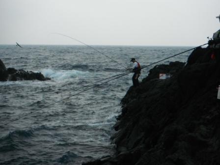 2012.07.28 タモ入れ・・・