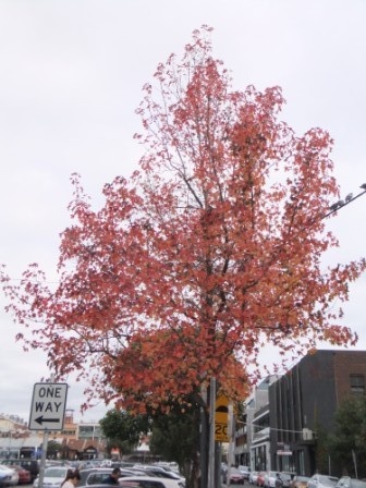 2012_05190048.jpg