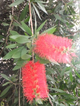 2012_06030077.jpg