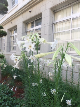 2012_08170028.jpg