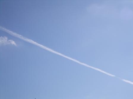 2012_08190020.jpg