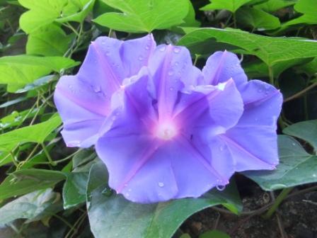 2012_08200018.jpg