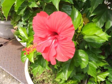 2012_09230016.jpg