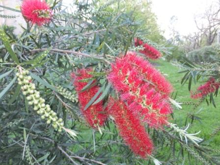 2012_10080009.jpg