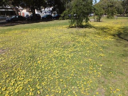 2012_10090009.jpg