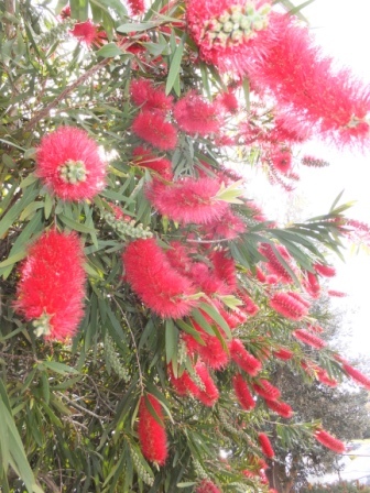 2012_10200041.jpg