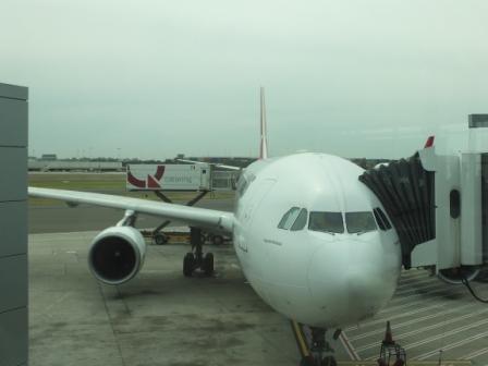 2012_11070033.jpg