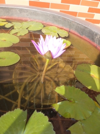 2012_12070027.jpg