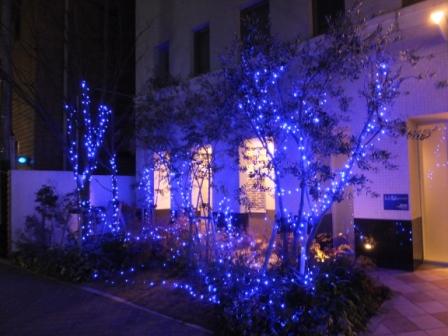 2012_12250173.jpg