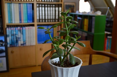 kz1_20130315163835.jpg